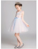 Embroidery Lace Tulle Flower Girl Dress Kid Party Dress Embroidery Lace Tulle Flower Girl Dress Kid Party Dress